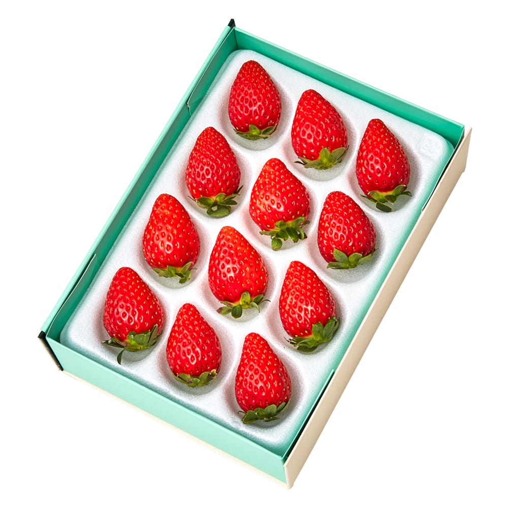 新宿高野 古都姫12EA #29100