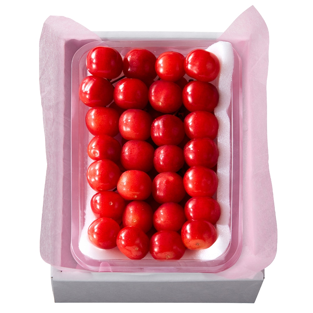 新宿高野 父の日 さくらんぼ #93002 | 高野 高野フルーツ 果物 フルーツ フルーツ詰め合わせ フルーツギフト 詰め合わせセット 母の日ギフト プレゼント フルーツセット フルーツバスケット ギフト 花以外 お取り寄せ 父の日 父の日ギフト 感謝