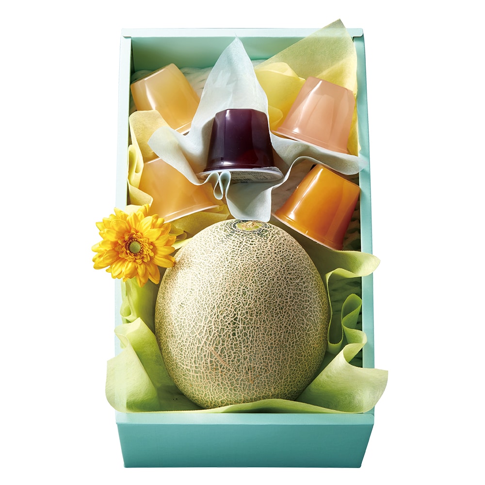 新宿高野 父の日 メロン＆果実ゼリー #94283 | 高野 高野フルーツ 果物 フルーツ フルーツ詰め合わせ フルーツギフト 詰め合わせセット 母の日ギフト プレゼント フルーツセット フルーツバスケット ギフト 花以外 お取り寄せ 父の日 父の日ギフト 感謝