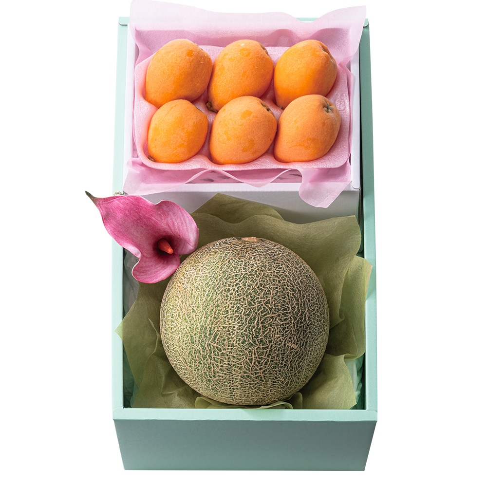 新宿高野 母の日 メロン＆枇杷セット #93477 | 高野 高野フルーツ 果物 フルーツ フルーツ詰め合わせ フルーツギフト 詰め合わせセット 母の日ギフト プレゼント フルーツセット フルーツバスケット ギフト 花以外 お取り寄せ 父の日 父の日ギフト 感謝