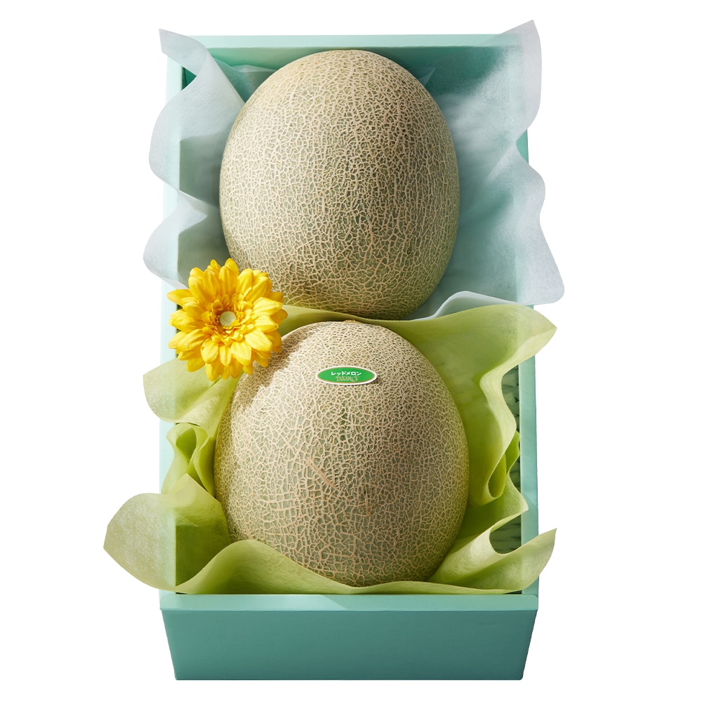新宿高野 父の日 メロンコンビ #93736 | 高野 高野フルーツ 果物 フルーツ フルーツ詰め合わせ フルーツギフト 詰め合わせセット 母の日ギフト プレゼント フルーツセット フルーツバスケット ギフト 花以外 お取り寄せ 父の日 父の日ギフト 感謝