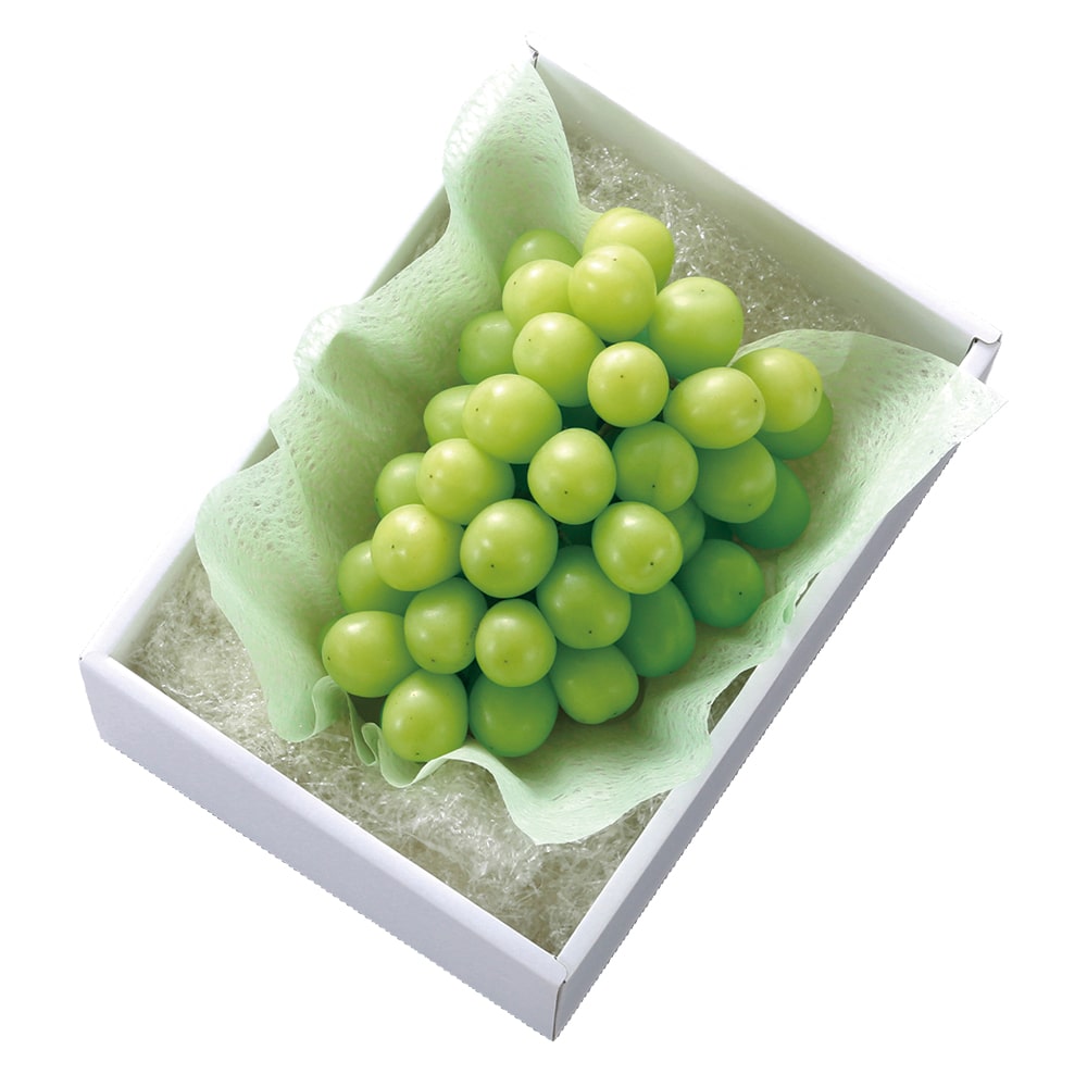 新宿高野 父の日 マスカットオブアレキサンドリア #93743 | 高野 高野フルーツ 果物 フルーツ フルーツ詰め合わせ フルーツギフト 詰め合わせセット 母の日ギフト プレゼント フルーツセット フルーツバスケット ギフト 花以外 お取り寄せ 父の日 父の日ギフト 感謝