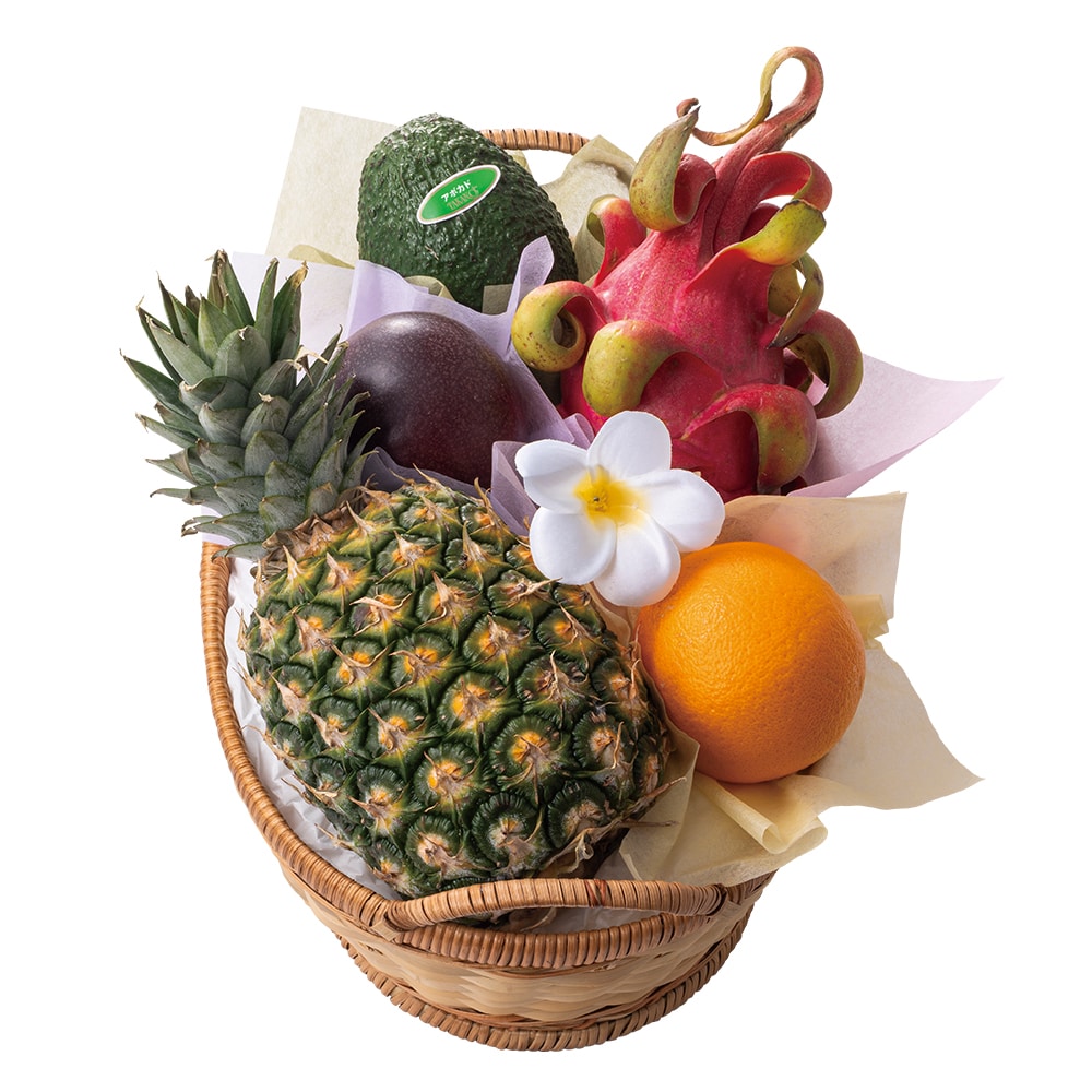 新宿高野 母の日 トロピカルフルーツセット #93019 | 高野 高野フルーツ 果物 フルーツ フルーツ詰め合わせ フルーツギフト 詰め合わせセット 母の日ギフト プレゼント フルーツセット フルーツバスケット ギフト 花以外 お取り寄せ 父の日 父の日ギフト 感謝