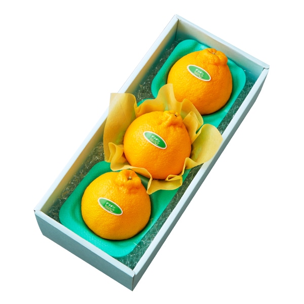 新宿高野 デコポン3入 #29100