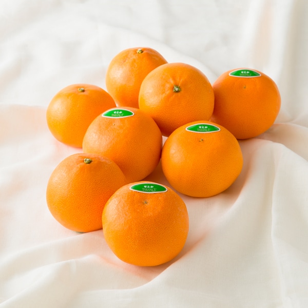 新宿高野 Day Fruit デイフルーツ せとか #29100