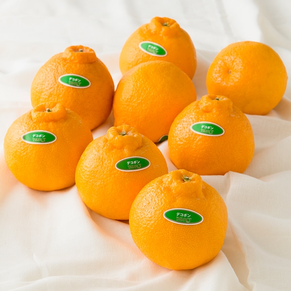 新宿高野 Day Fruit デイフルーツ デコポン #29100