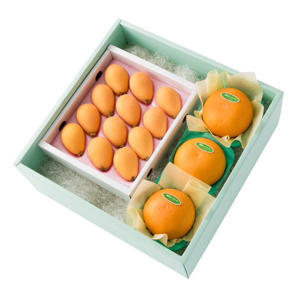 新宿高野 温室栽培 枇杷＆旬果A #29100