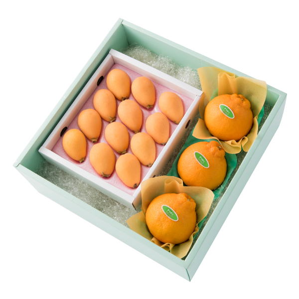 新宿高野 温室栽培 枇杷＆旬果C #29100