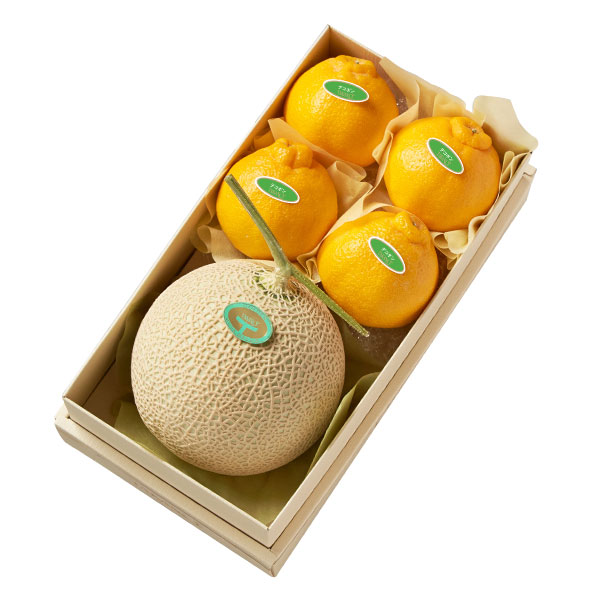 新宿高野 マスクメロン＆デコポン#29100