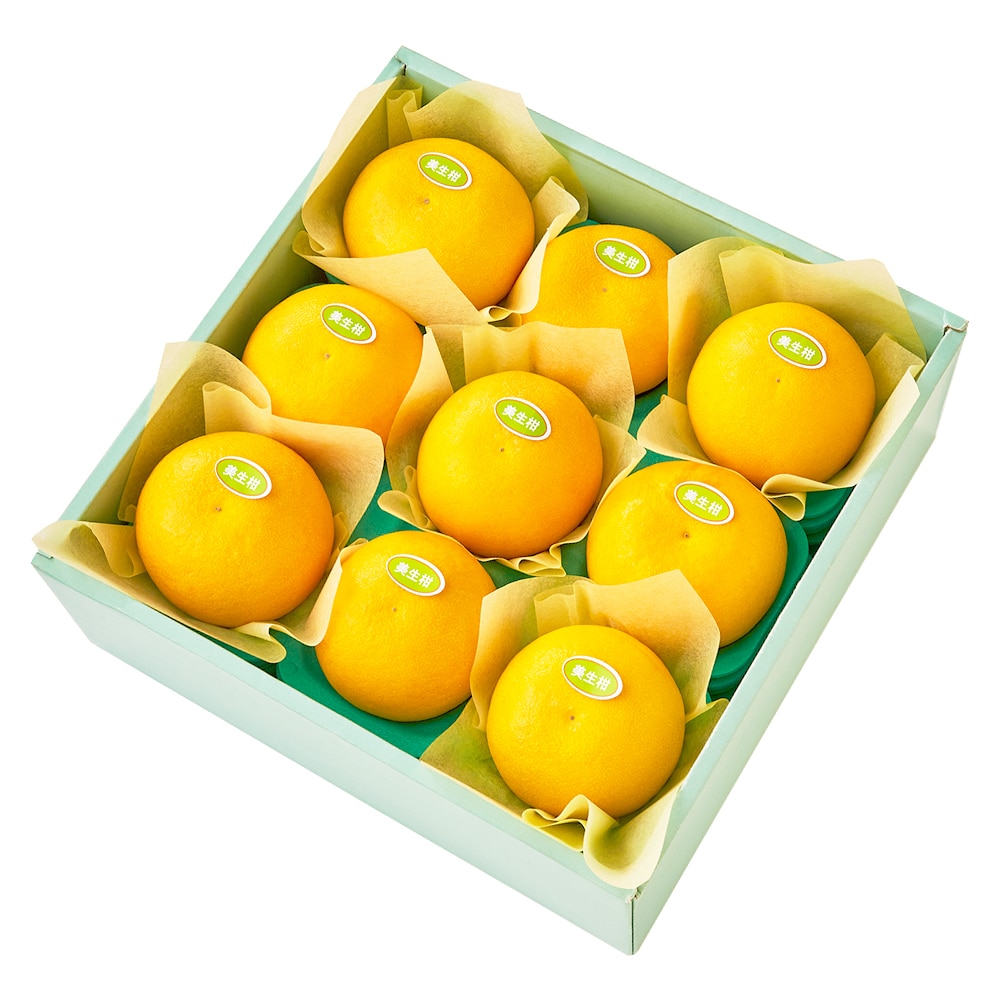 新宿高野 美生柑9入 #29100