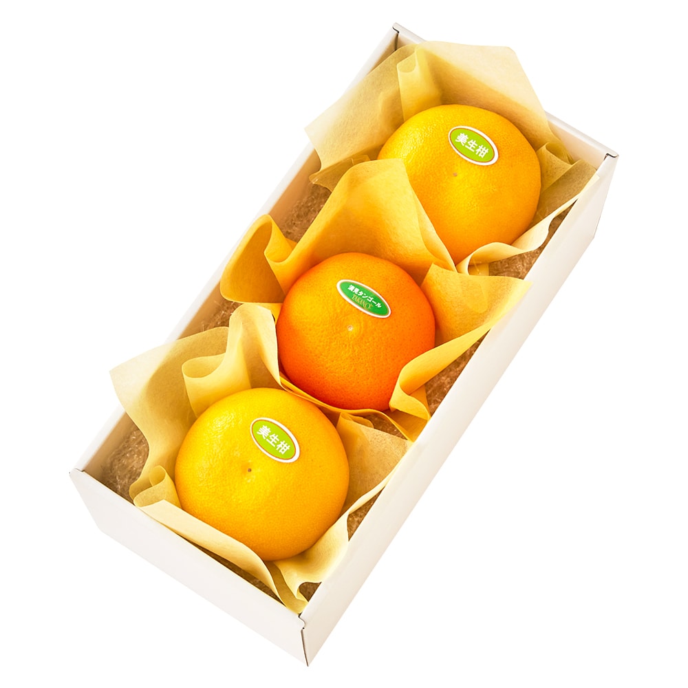 新宿高野 美生柑＆清見オレンジ3入 #29100