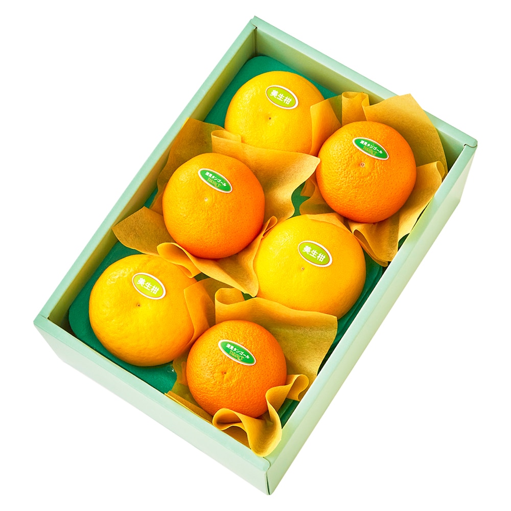 新宿高野 美生柑＆清見オレンジ6入 #29100