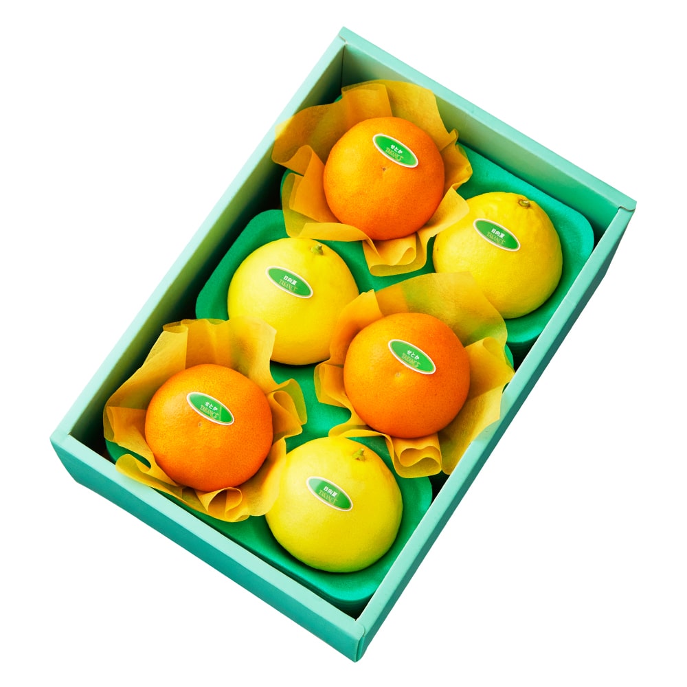 新宿高野 せとか＆旬果B #29100