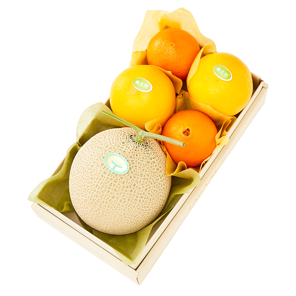 新宿高野 マスクメロン＆旬果A #29100