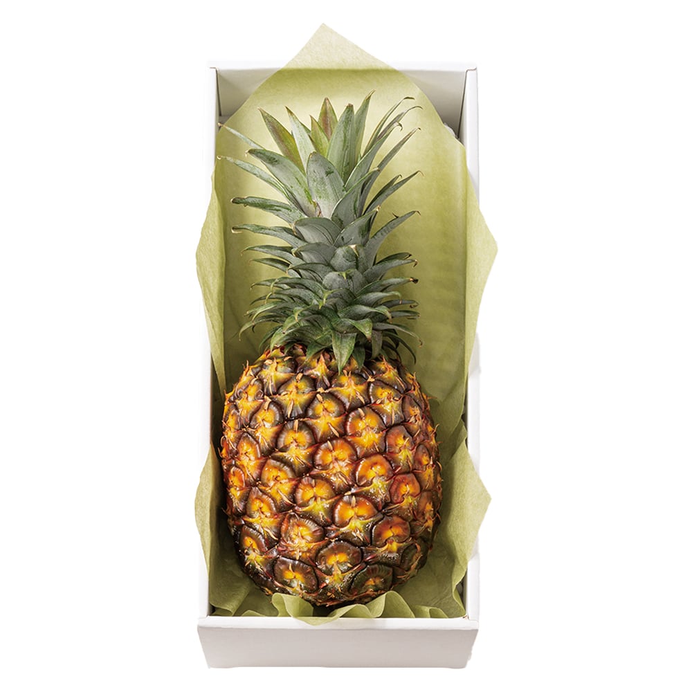 新宿高野 父の日 ゴールドバレル #93378 | 高野 高野フルーツ 果物 フルーツ フルーツ詰め合わせ フルーツギフト 詰め合わせセット 母の日ギフト プレゼント フルーツセット フルーツバスケット ギフト 花以外 お取り寄せ 父の日 父の日ギフト 感謝