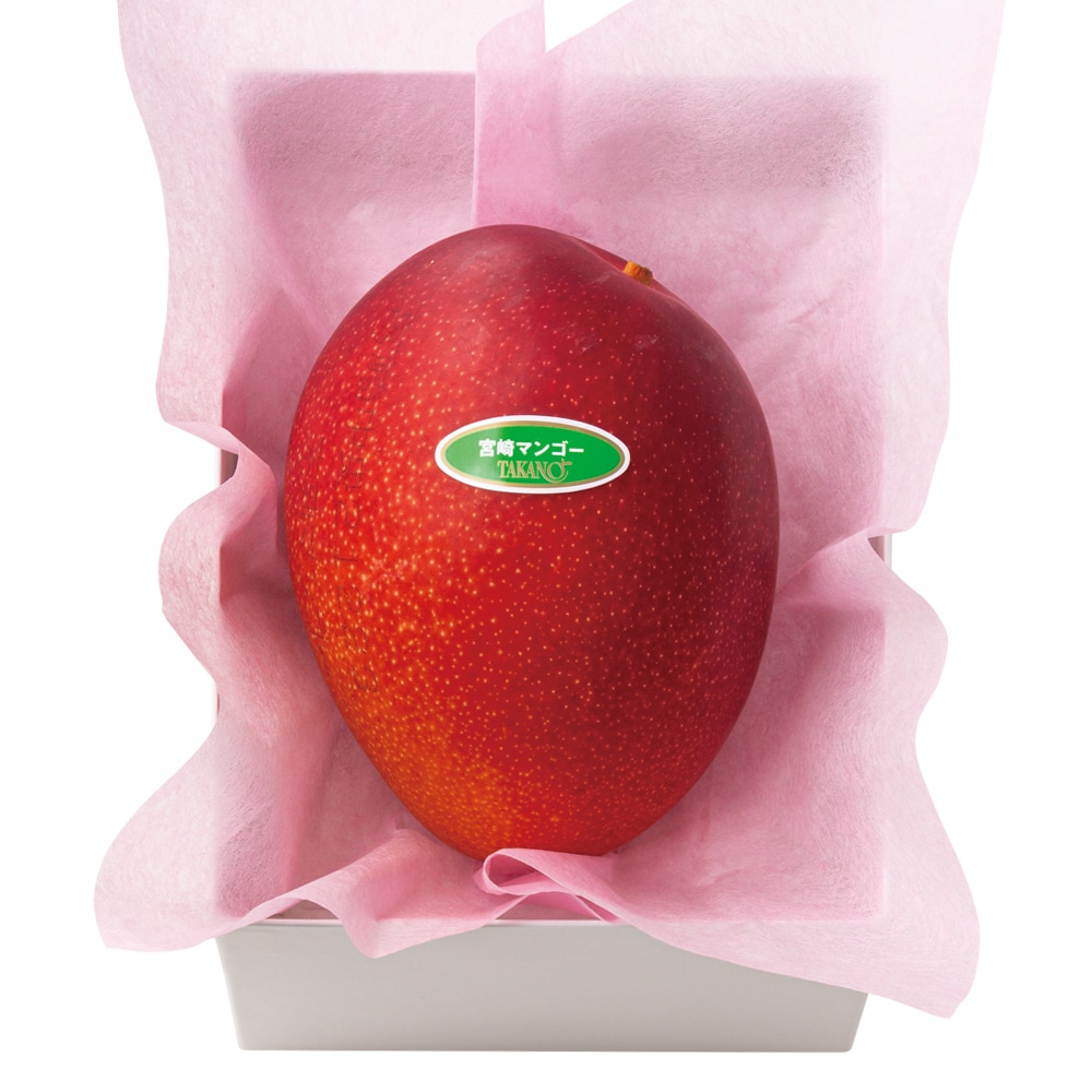 新宿高野 母の日 宮崎マンゴー #94054 | 高野 高野フルーツ 果物 フルーツ フルーツ詰め合わせ フルーツギフト 詰め合わせセット 母の日ギフト プレゼント フルーツセット フルーツバスケット ギフト 花以外 お取り寄せ 父の日 父の日ギフト 感謝