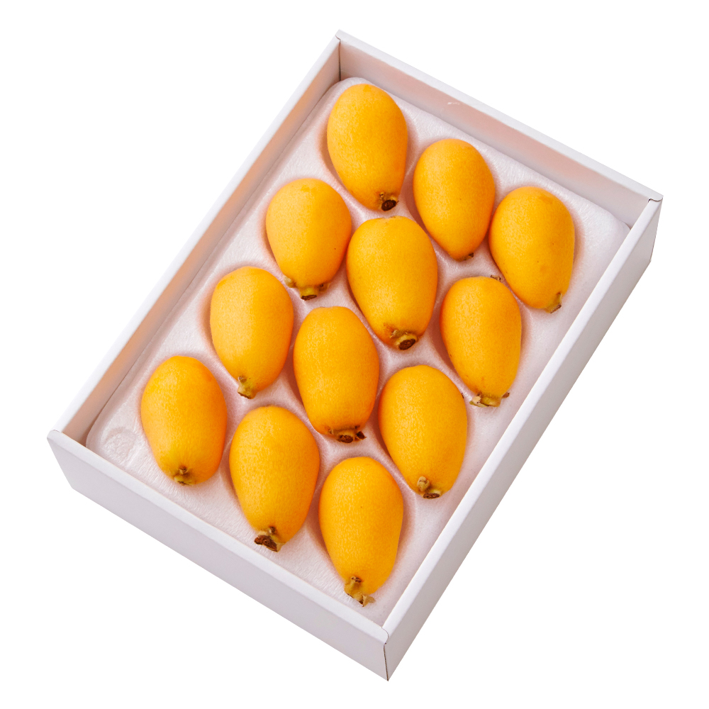 新宿高野 温室栽培 枇杷B #29100