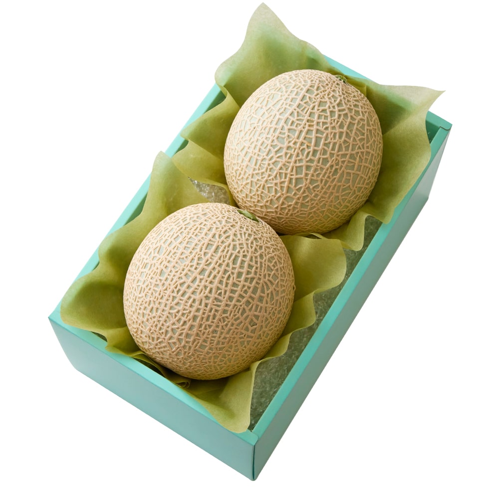 お祝い 内祝い お返し フルーツ ギフト 新宿高野 メロン2入 #29100