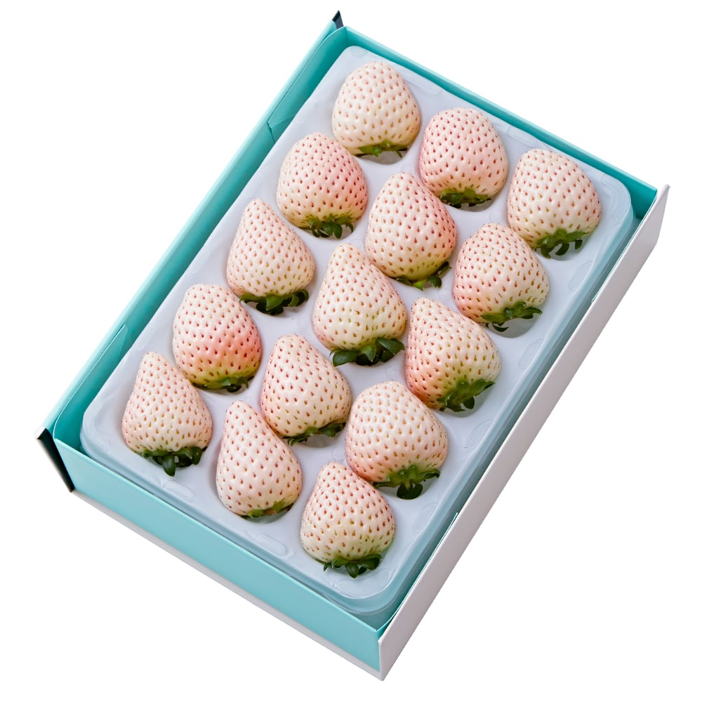 新宿高野 初恋の香りA #29100