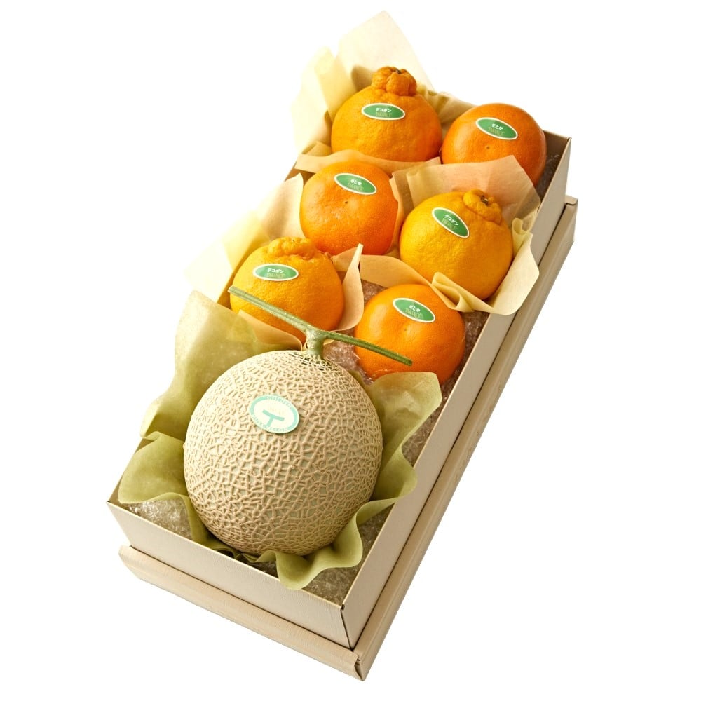 新宿高野 マスクメロン＆柑橘コンビE #29100