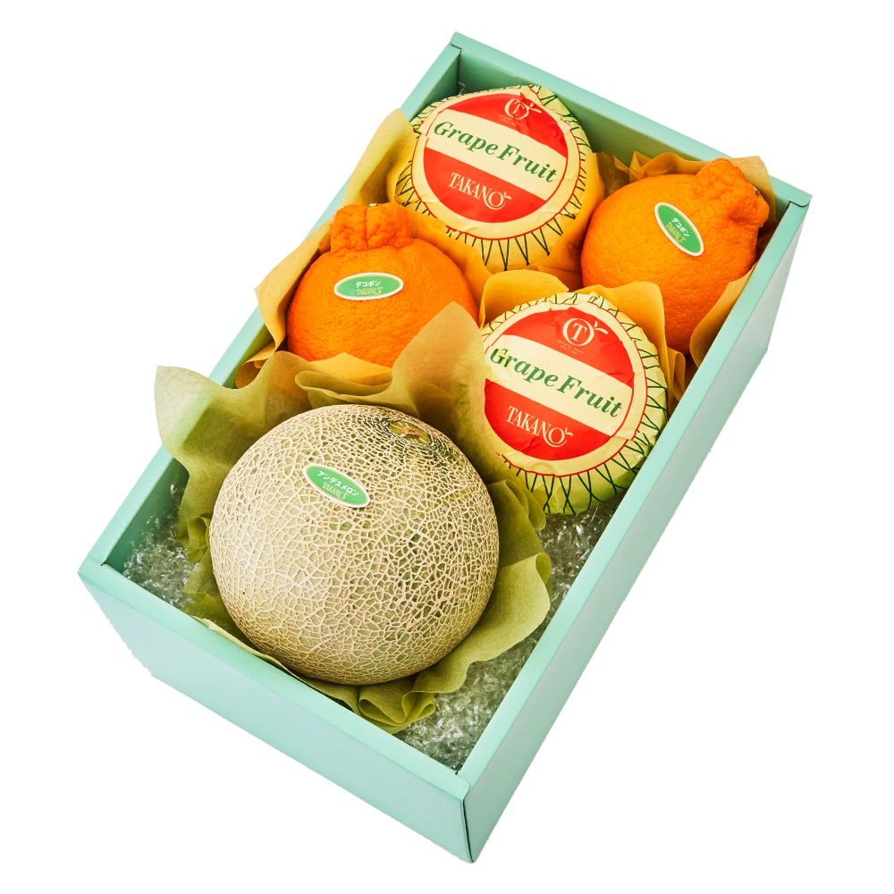 新宿高野 アンデスメロンギフトE #29100