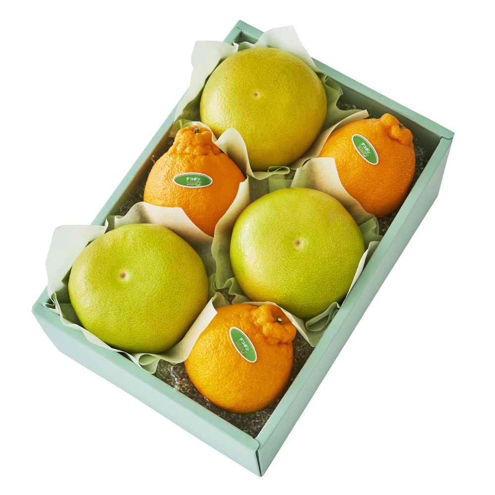 新宿高野 メロゴールド＆旬果I #29100