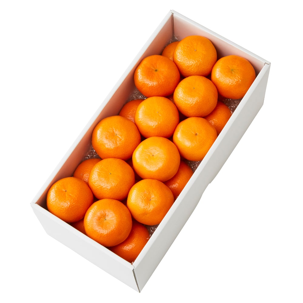 新宿高野 DayFruitデイフルーツ アフォーラマンダリン #29100