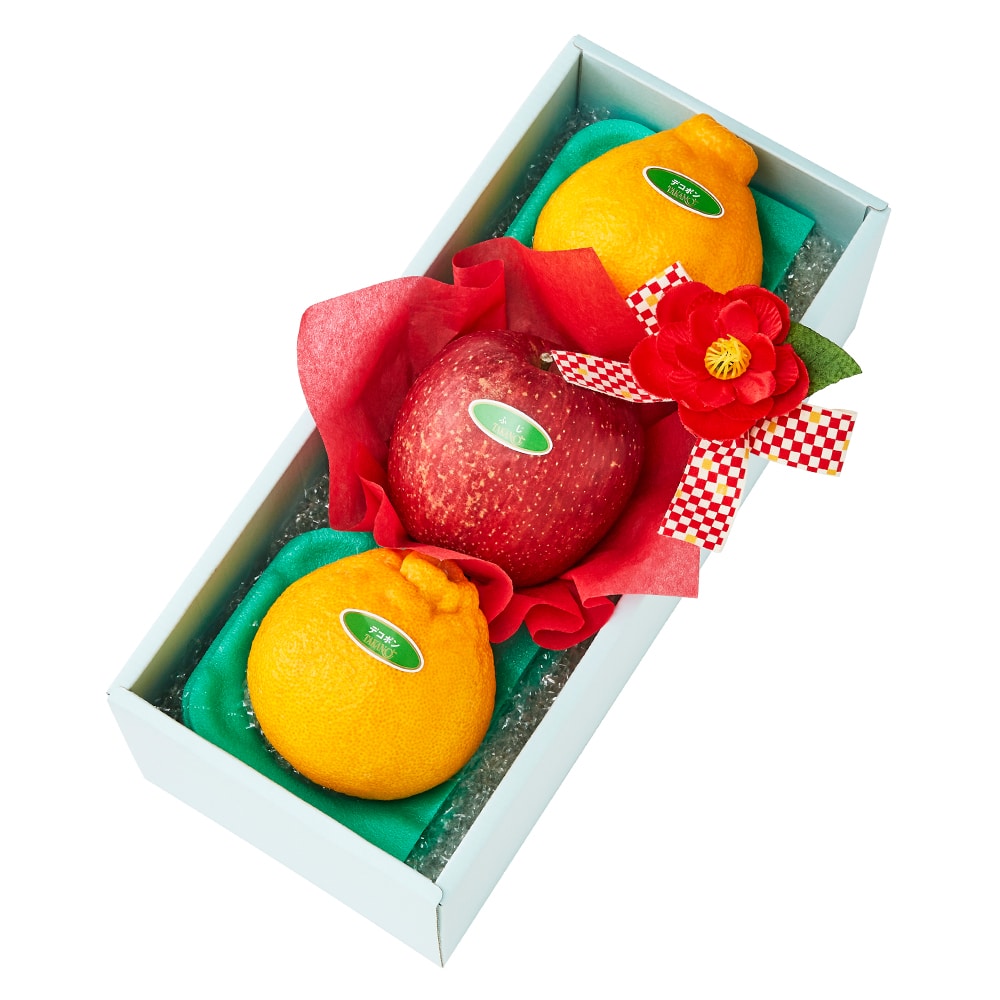 新宿高野 寒中お見舞いフルーツギフトEA #29100