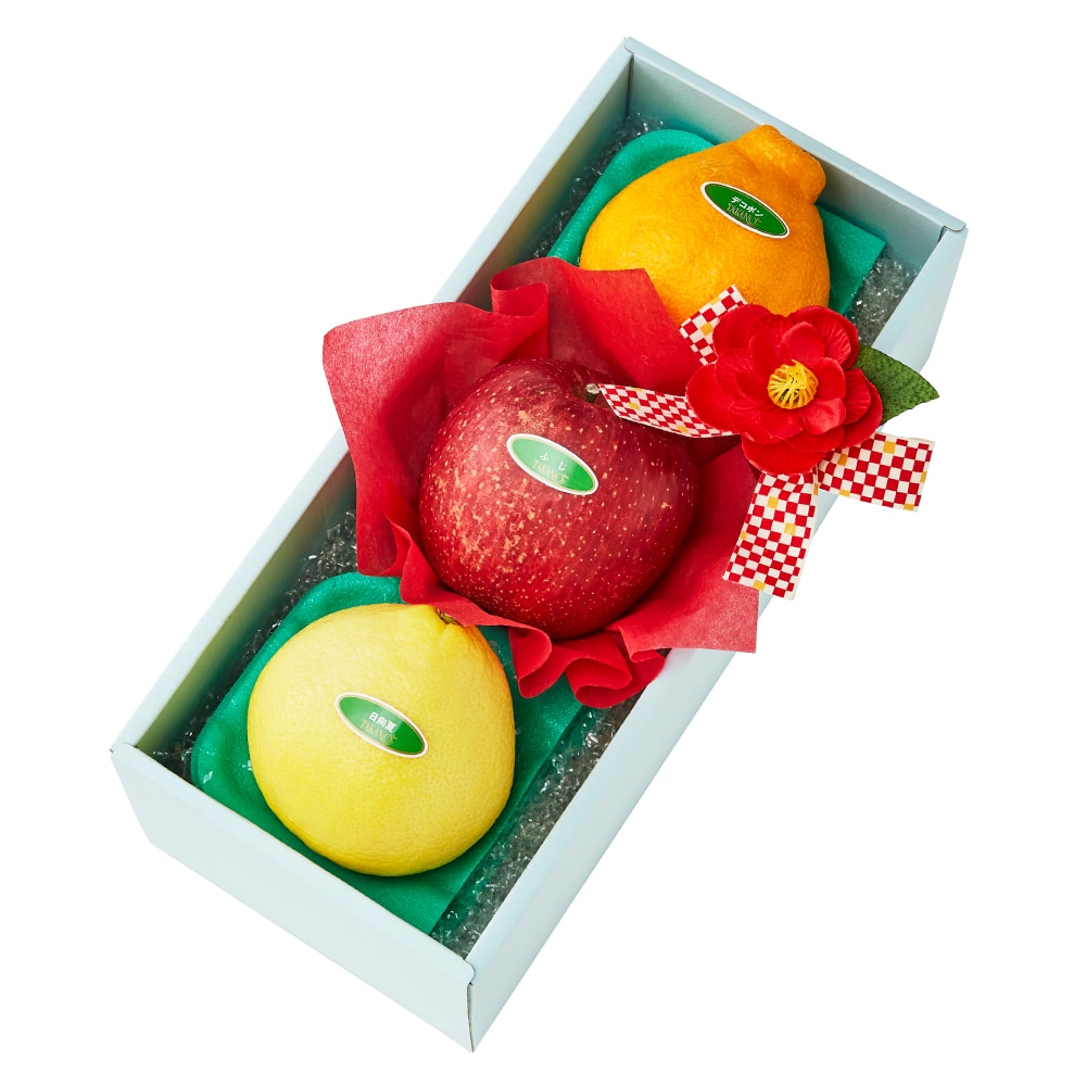 新宿高野 寒中お見舞いフルーツギフトEB #29100