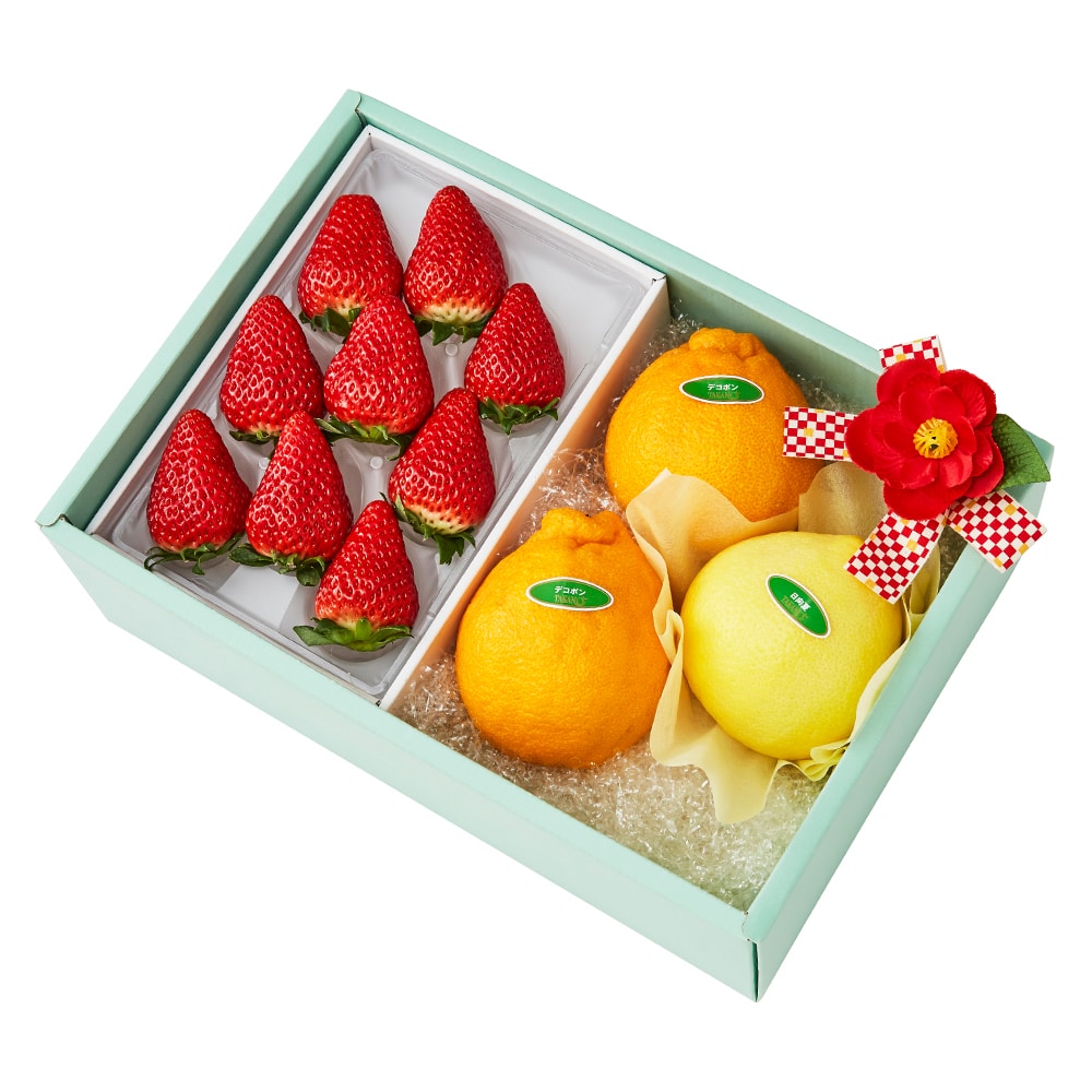 新宿高野 寒中お見舞いフルーツギフトED #29100