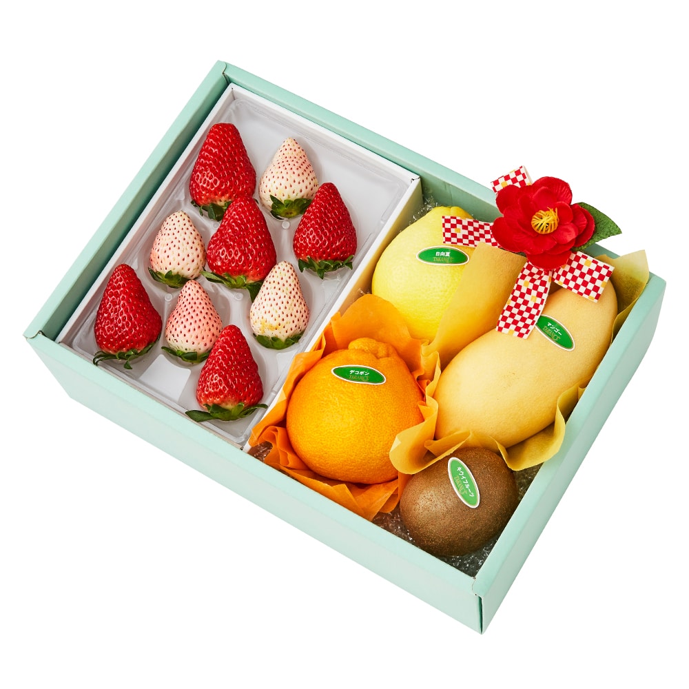 新宿高野 寒中お見舞いフルーツギフトEE #29100