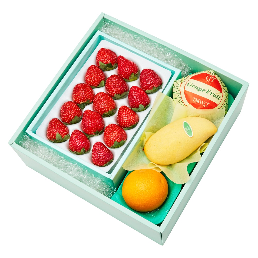 新宿高野 おいＣベリー＆旬果EC #29100