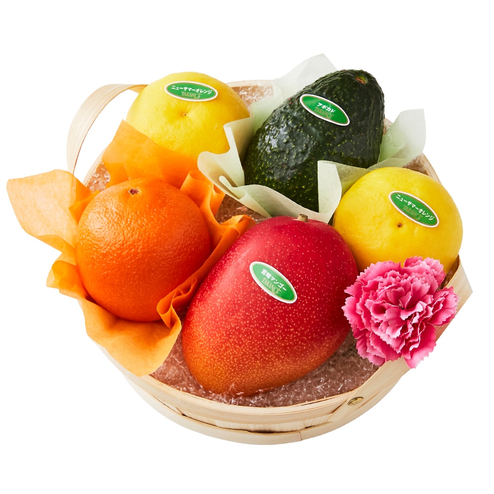 新宿高野 母の日フルーツバスケットF #29100 | 高野 高野フルーツ 果物 フルーツ フルーツ詰め合わせ フルーツギフト 詰め合わせセット 母の日ギフト プレゼント フルーツセット フルーツバスケット ギフト 花以外 お取り寄せ 父の日 父の日ギフト 感謝