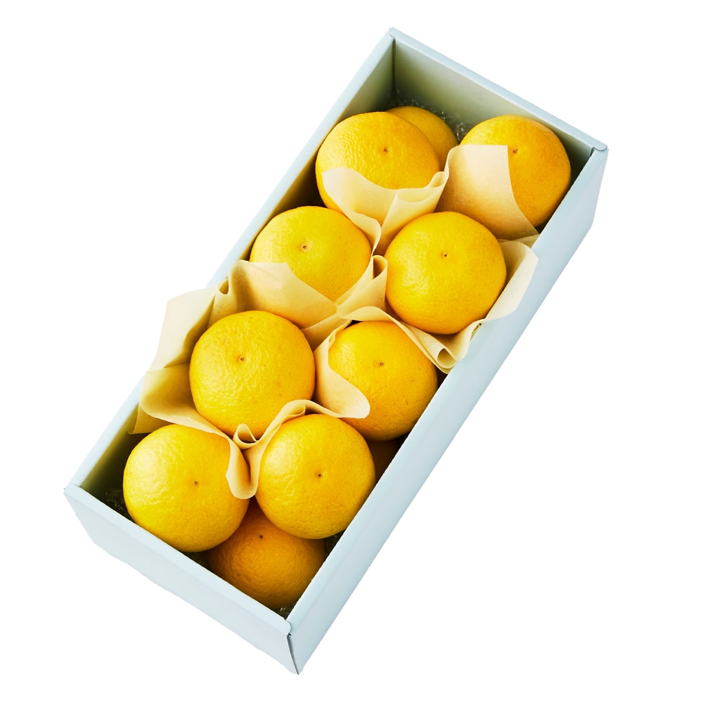 新宿高野 湘南ゴールド16入 #29100