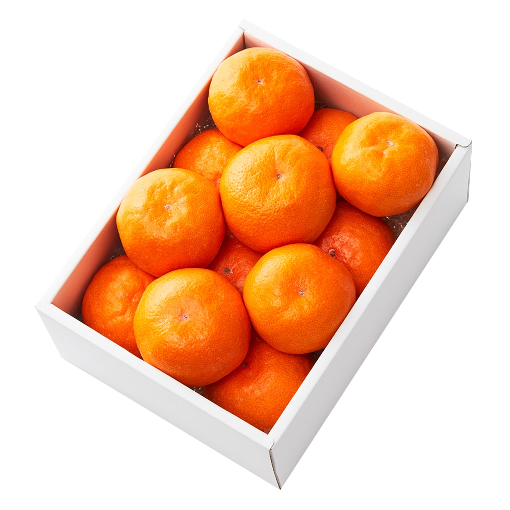 新宿高野 葵クラブみかんEA #29100