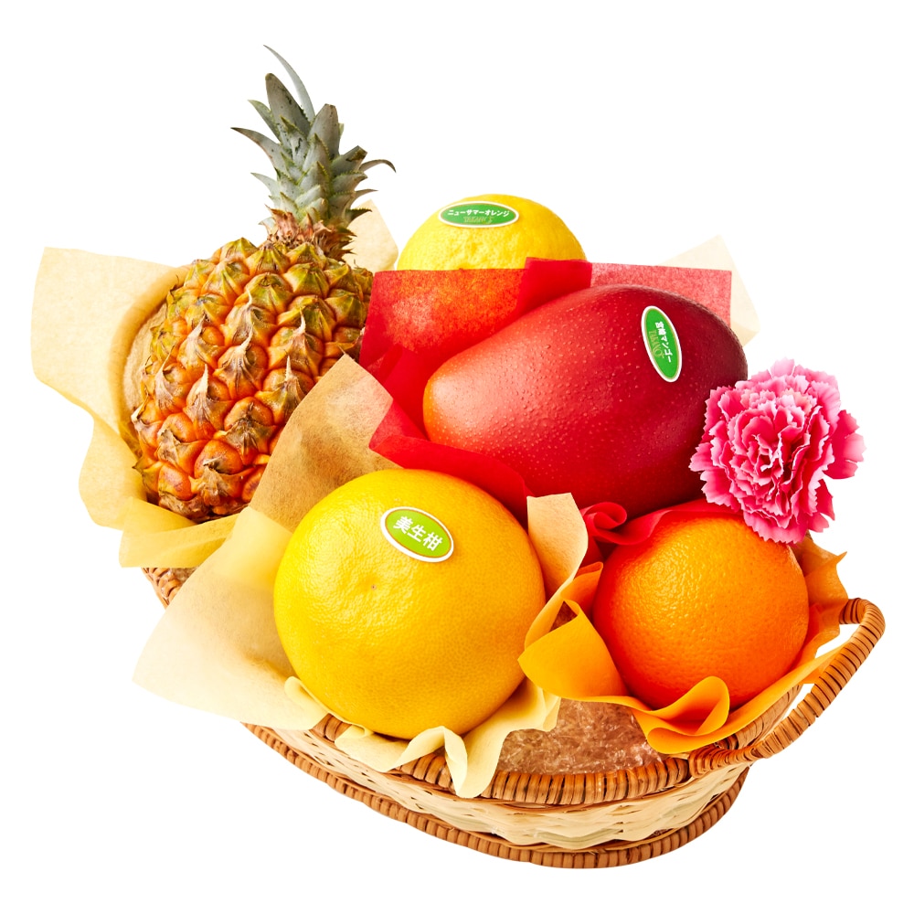 新宿高野 母の日フルーツバスケットI #29100 | 高野 高野フルーツ 果物 フルーツ フルーツ詰め合わせ フルーツギフト 詰め合わせセット 母の日ギフト プレゼント フルーツセット フルーツバスケット ギフト 花以外 お取り寄せ 父の日 父の日ギフト 感謝