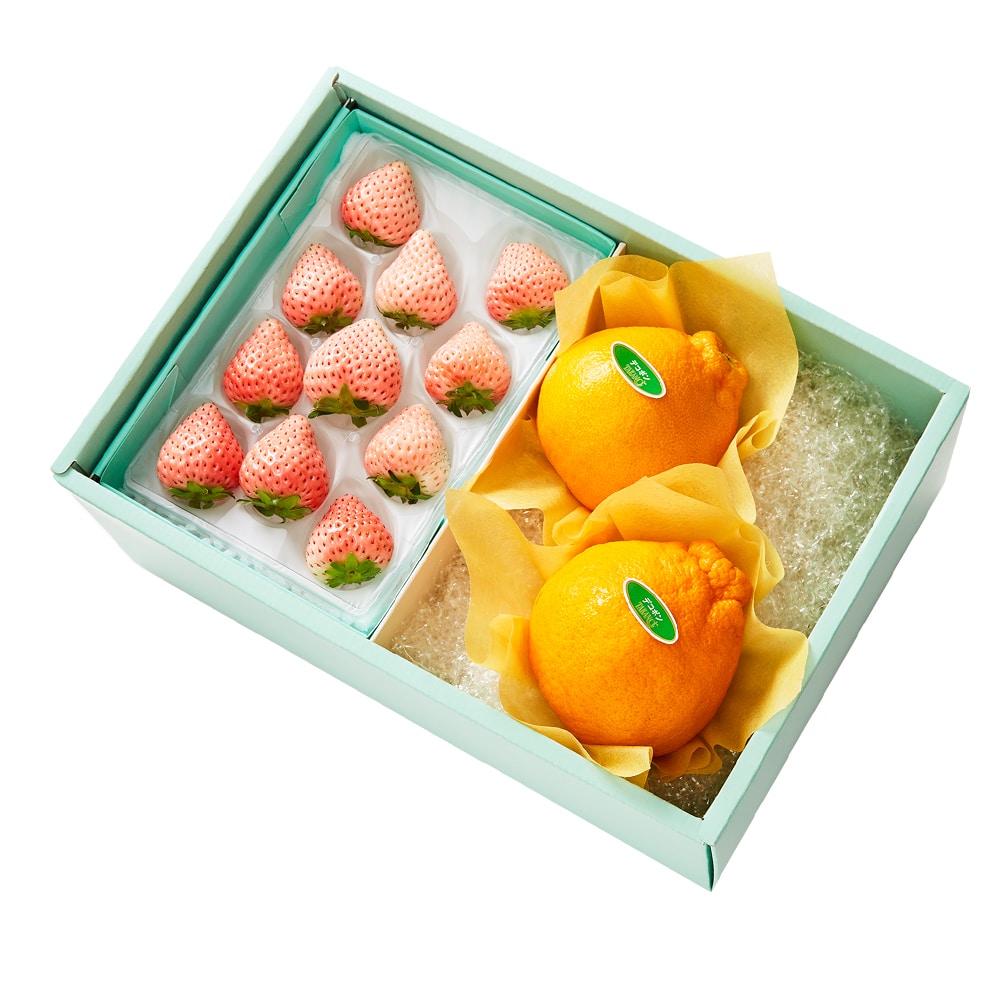 新宿高野 コットンベリーM＆旬果A #29100