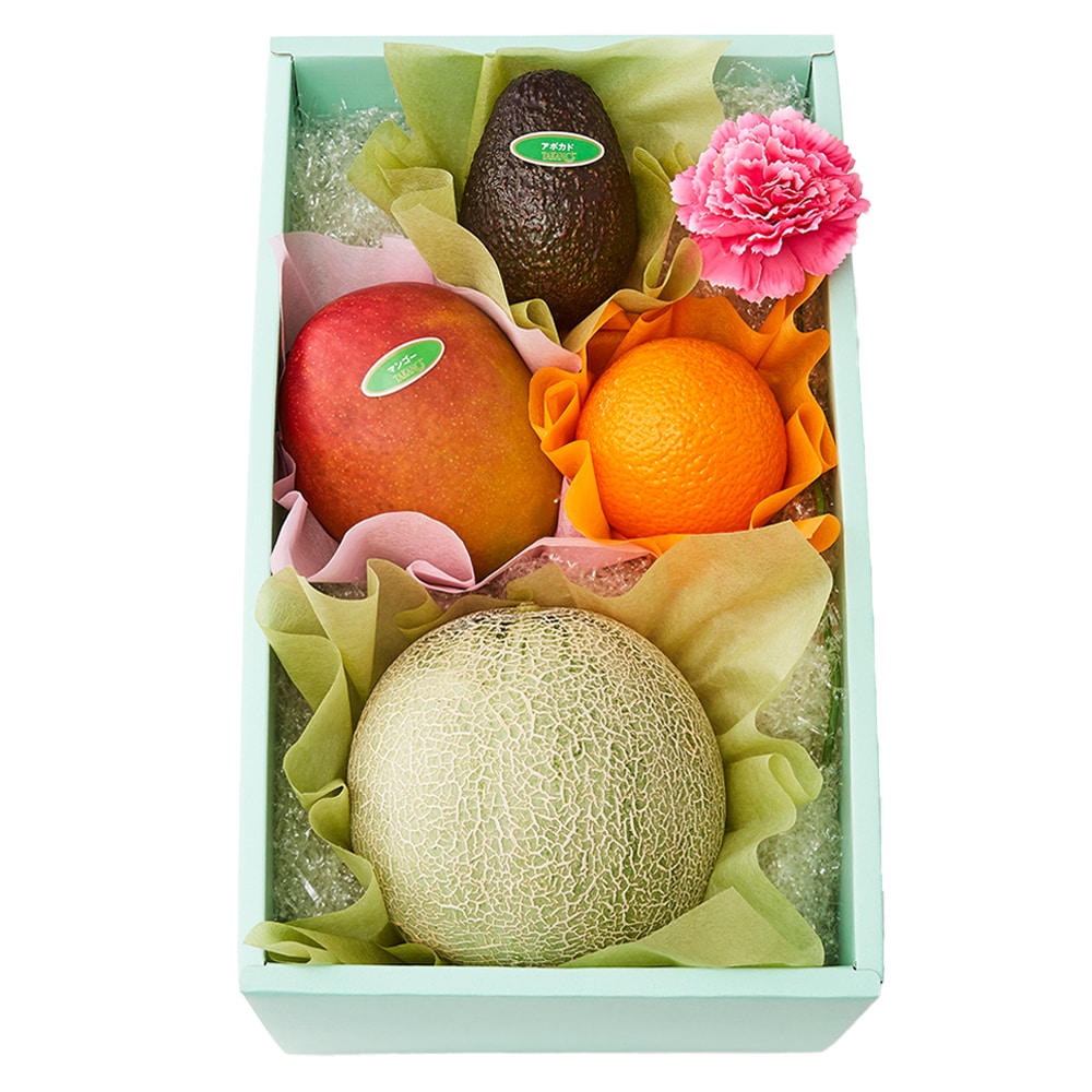 新宿高野 母の日フルーツギフトJ #29100 | 高野 高野フルーツ 果物 フルーツ フルーツ詰め合わせ フルーツギフト 詰め合わせセット 母の日ギフト プレゼント フルーツセット フルーツバスケット ギフト 花以外 お取り寄せ 父の日 父の日ギフト 感謝