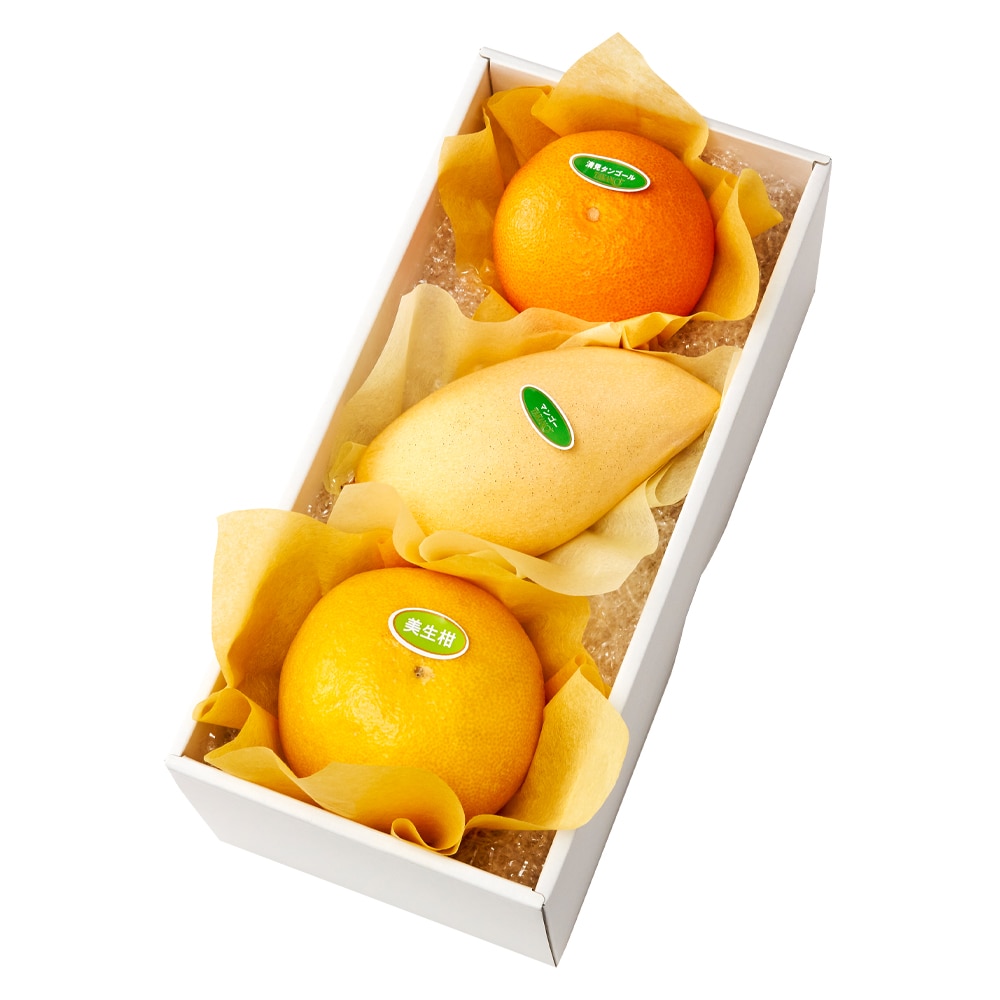 新宿高野 春柑橘＆旬果A #29100