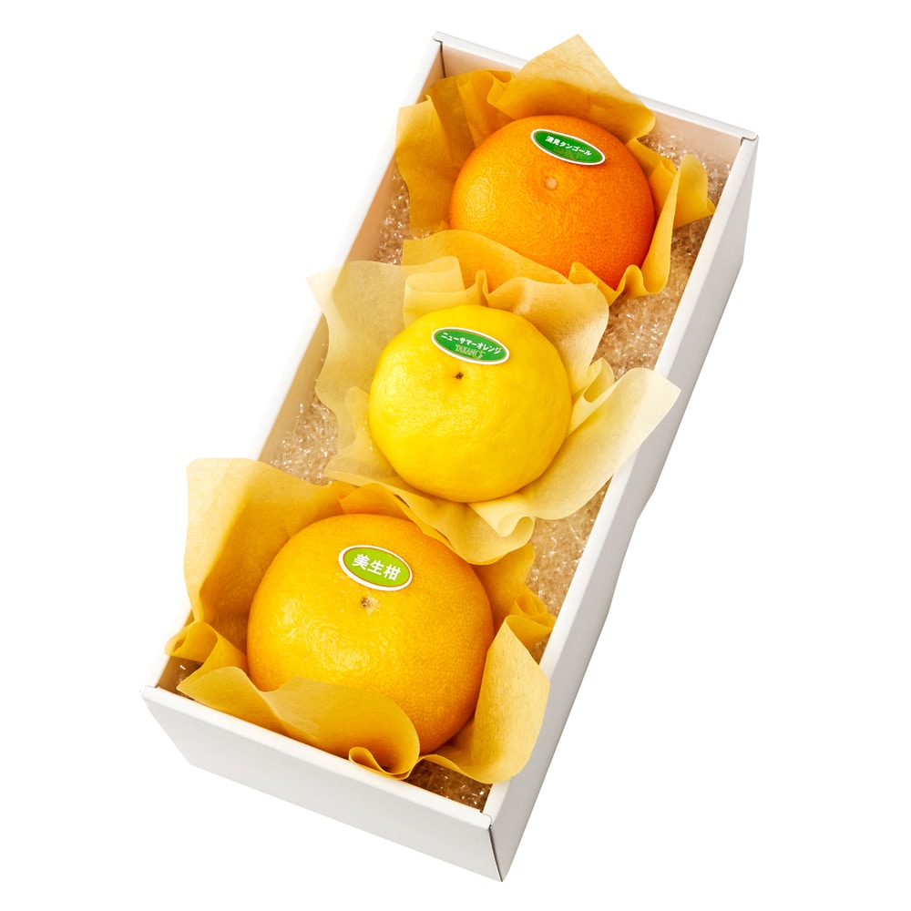 新宿高野 春柑橘＆旬果B #29100