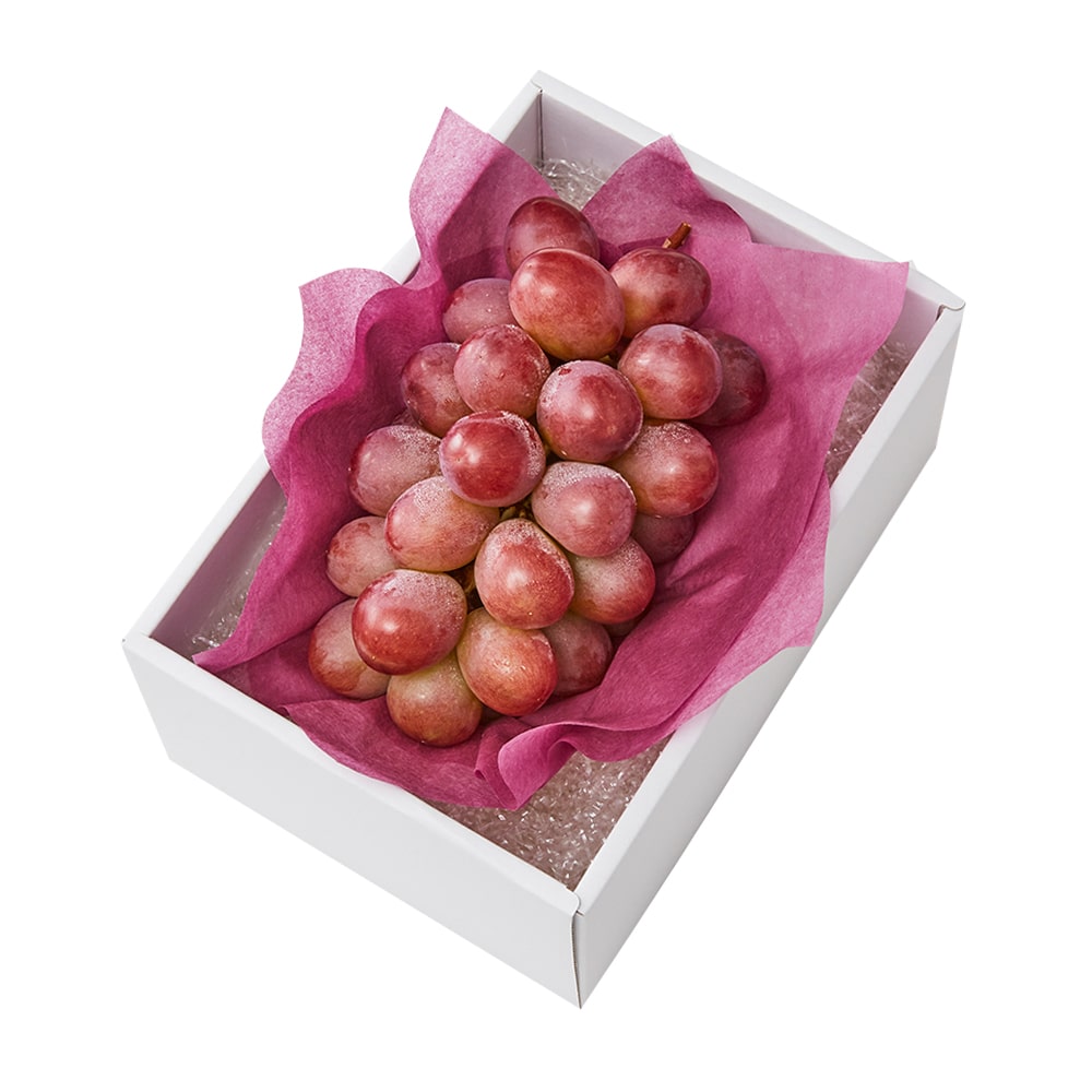 新宿高野 クイーンルージュ1入 #29100