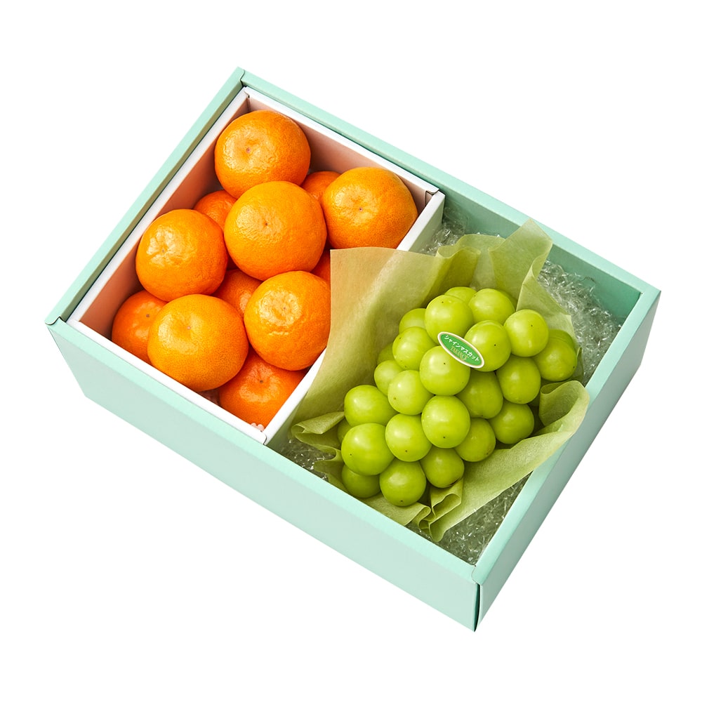 新宿高野 祐徳みかん＆旬果E #29100