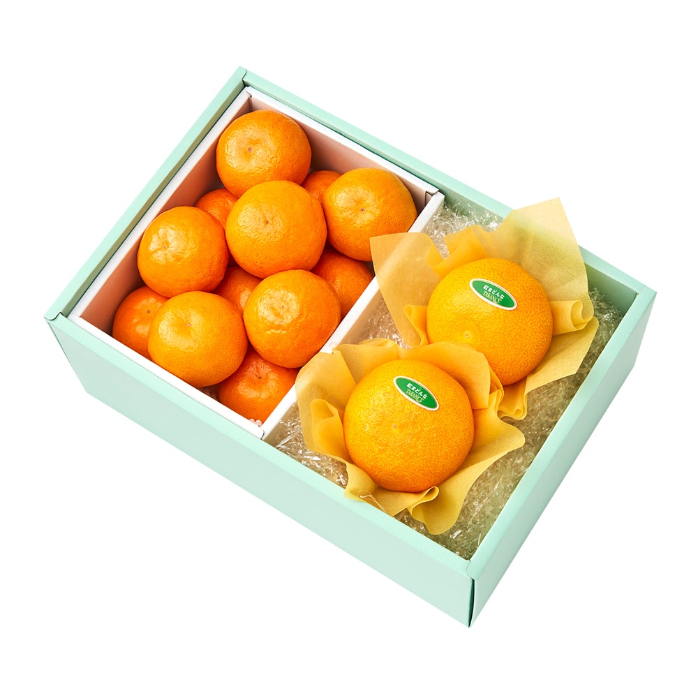 新宿高野 祐徳みかん＆旬果I #29100