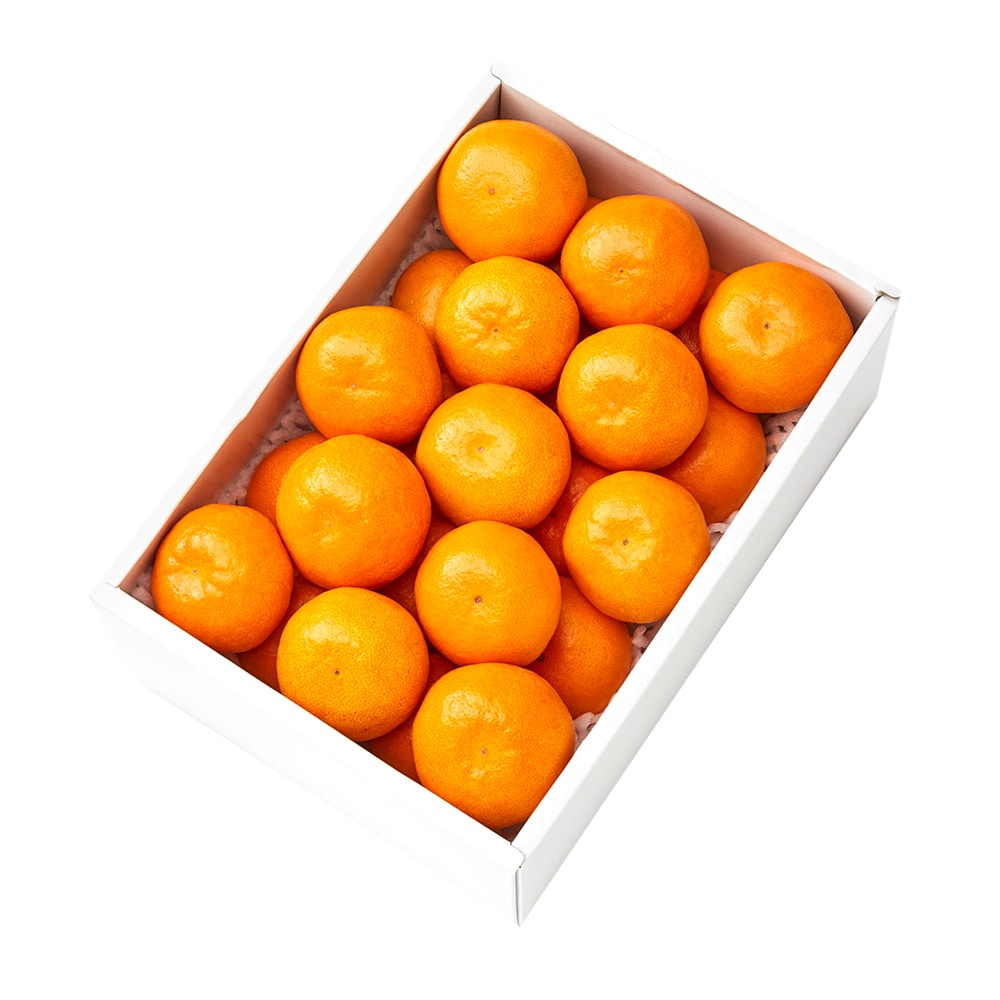 新宿高野 祐徳みかん24入 #29100