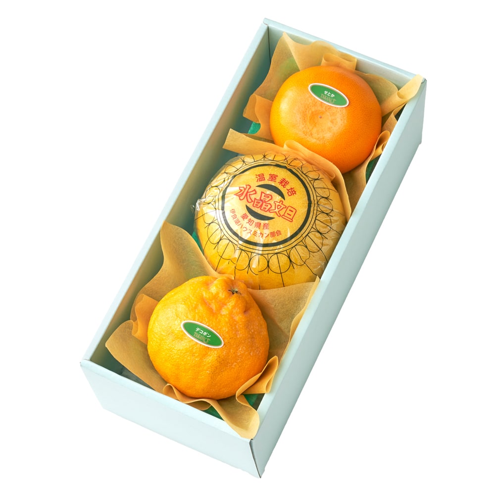 新宿高野 冬柑橘食べ比べ3入A #29100