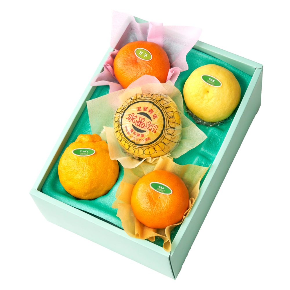 新宿高野 冬柑橘食べ比べ5入 #29100