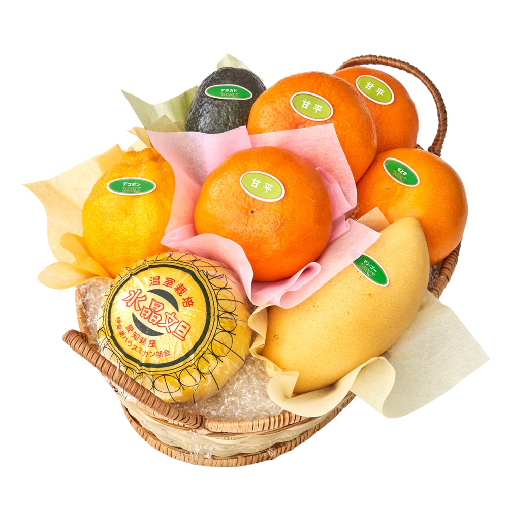 新宿高野 甘平バラエティーB #29100