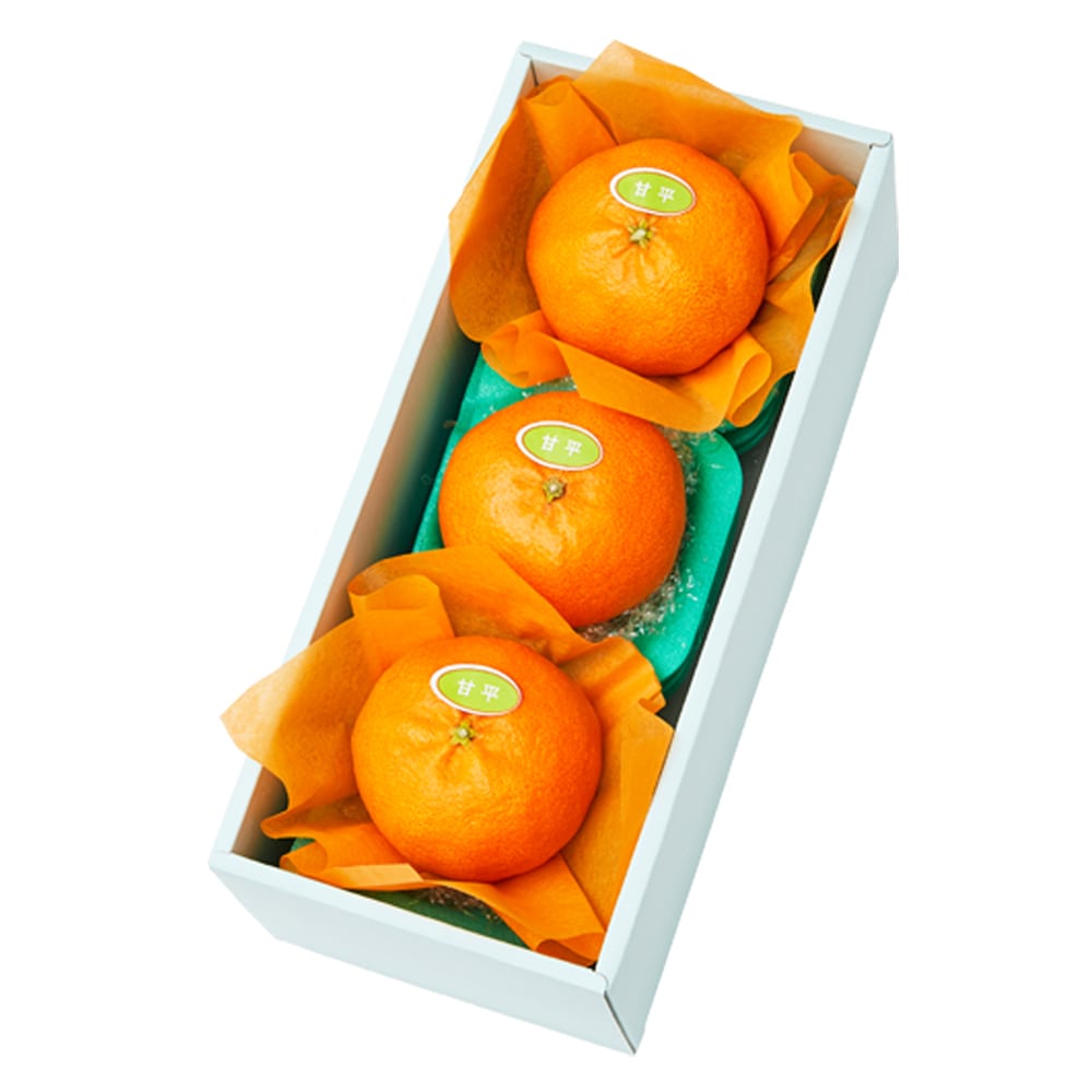 新宿高野 甘平3入 #29100