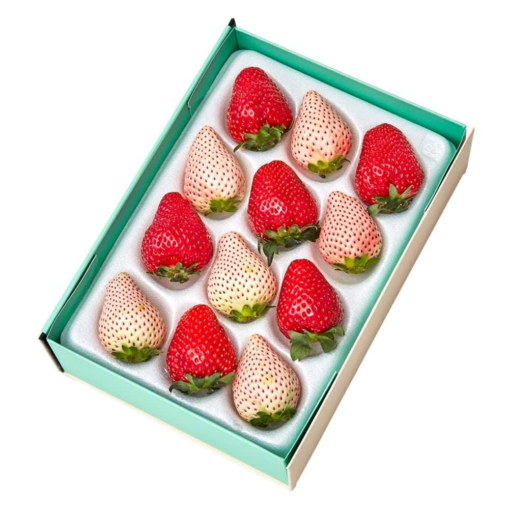 新宿高野 おいＣベリー＆初恋の香り12EA #29100