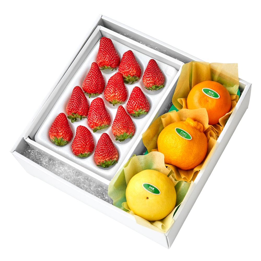 新宿高野 いちご12＆旬果B #29100